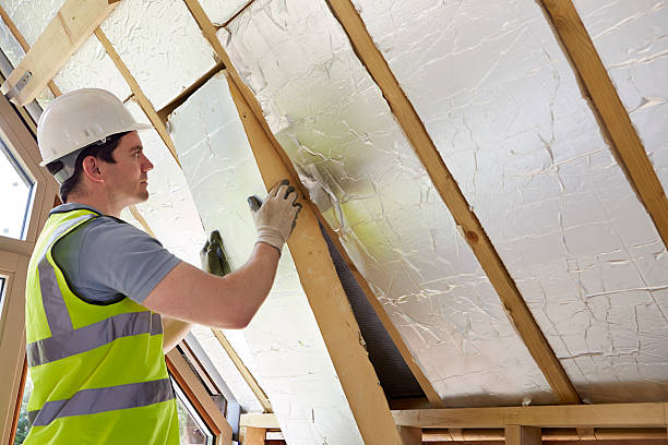 Best Insulation Inspection Services  in White Bear Lake, MN